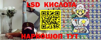 крисы Апшеронск