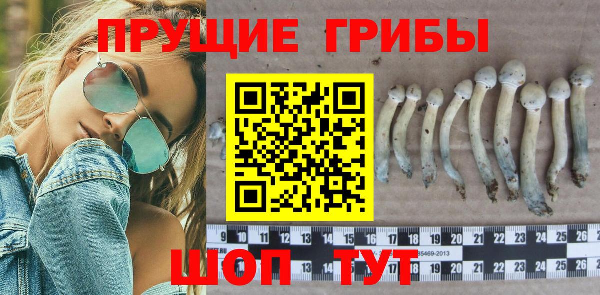 Галлюциногенные грибы прущие грибы Вольск